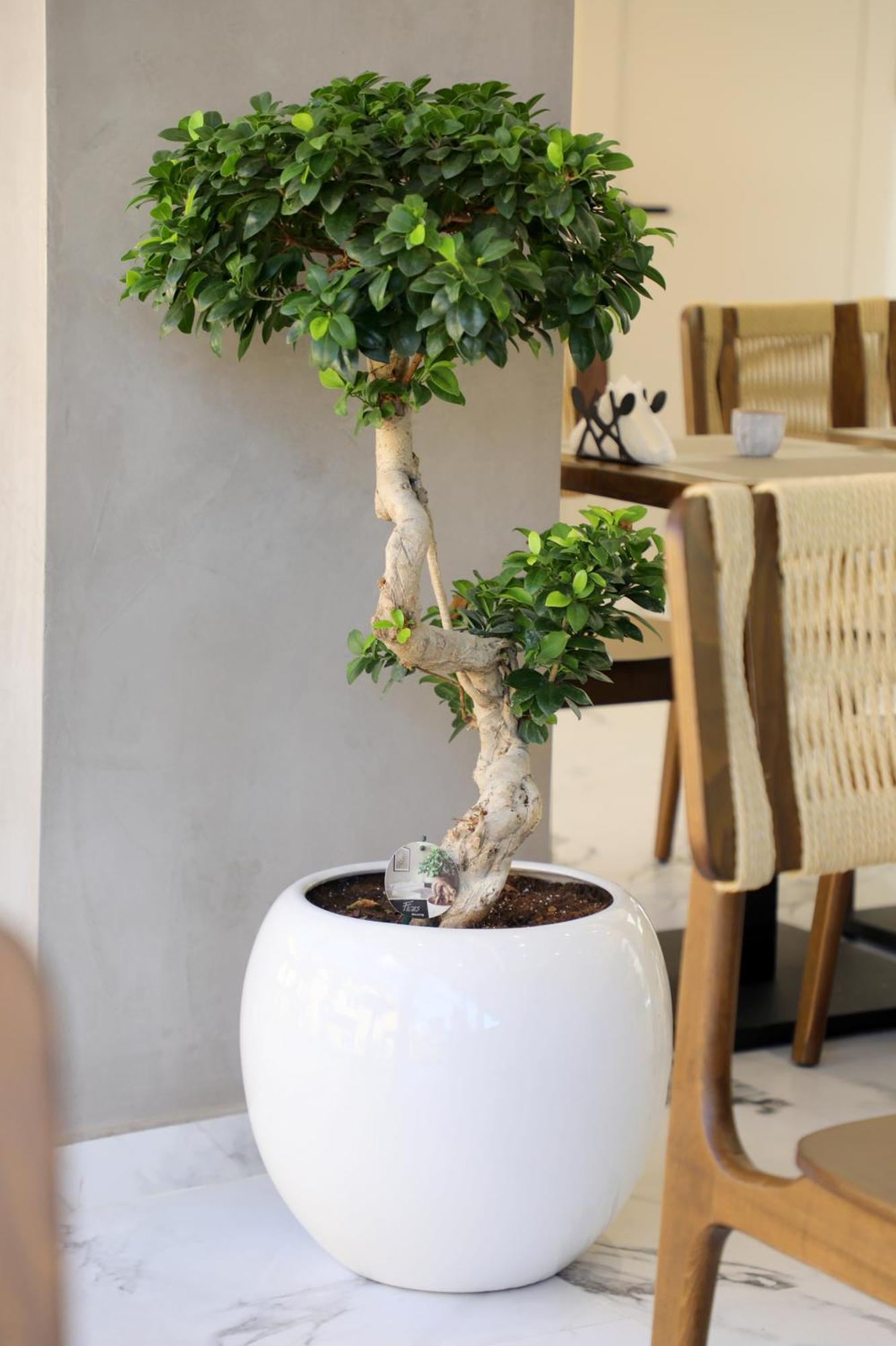 Niklas Boutique Hotel Sarandë 외부 사진